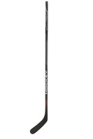 Hockey stick